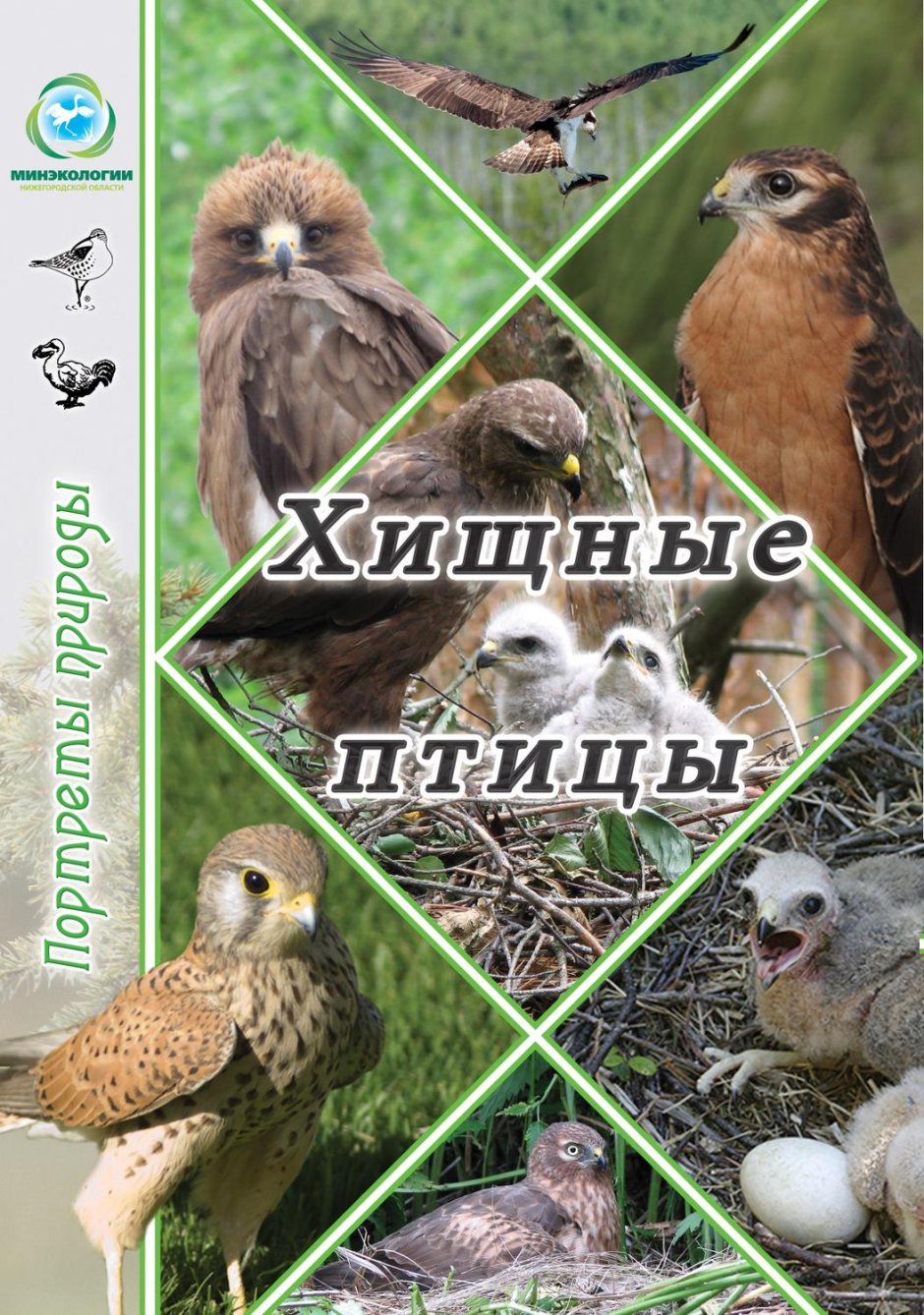 Перелетные птицы Приднестровья