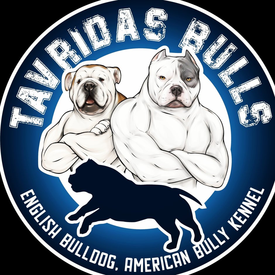 Выставка домашних животных в СПБ 2021 10-12 декабря фото булли