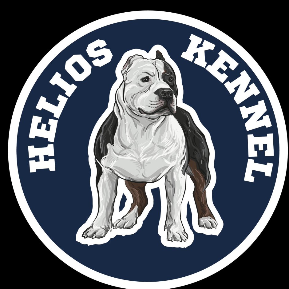 Питомник собак американский булли Яна Любомирова