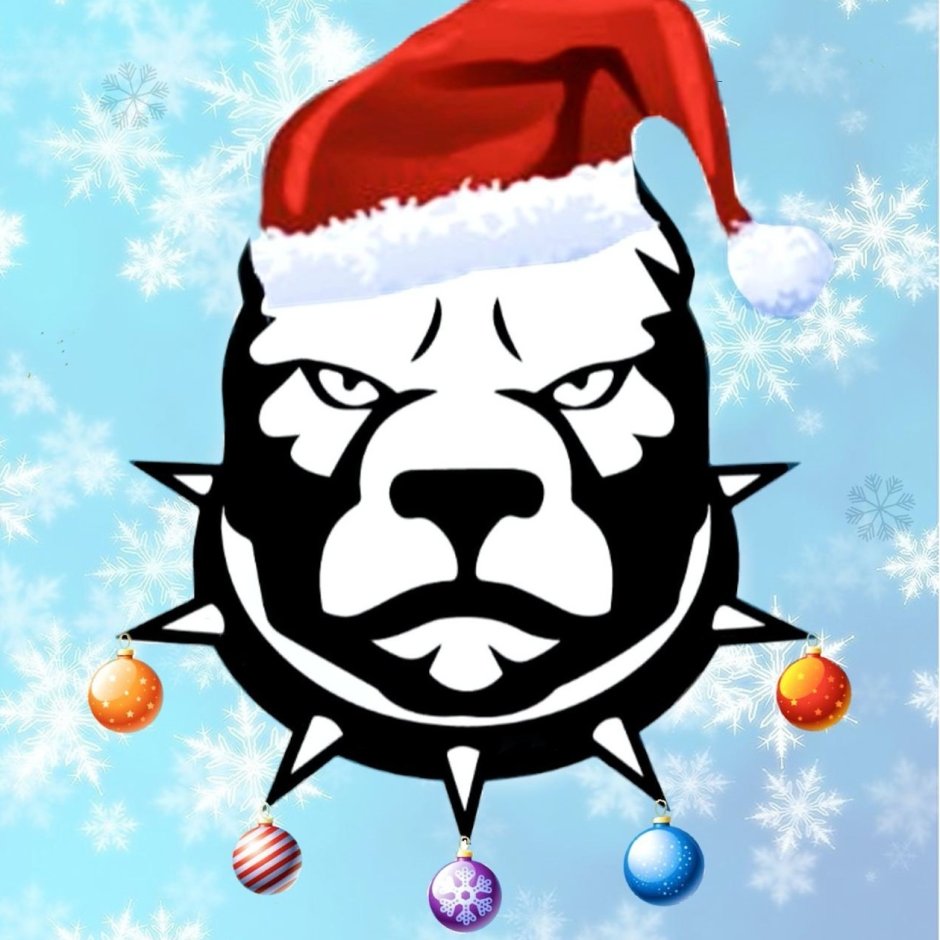 Американский булли шоколадный Триколор