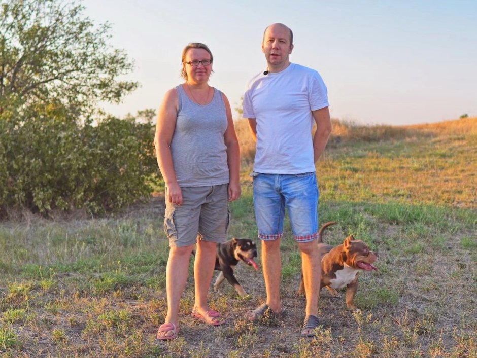 Питомник американских булли стандарт