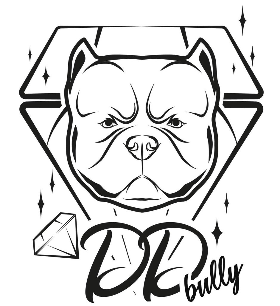 Американский булли питомник