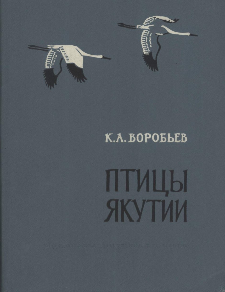 Кормление птиц зимой