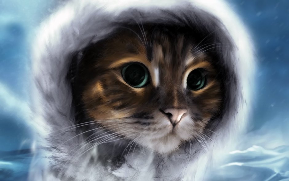 Аватар кот