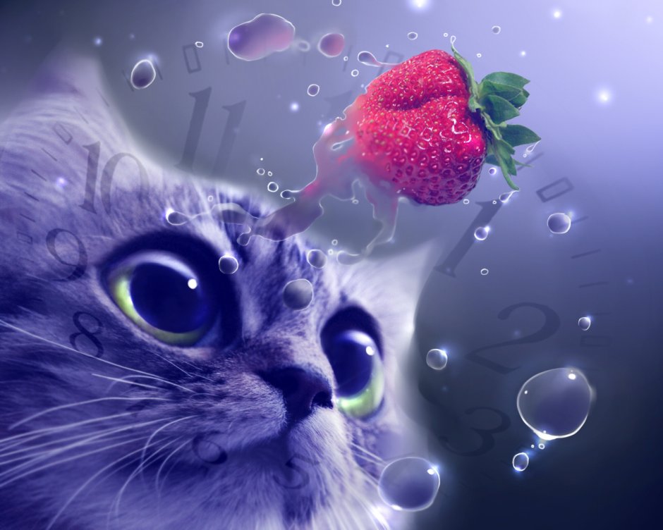 Кошка компьютерная Графика