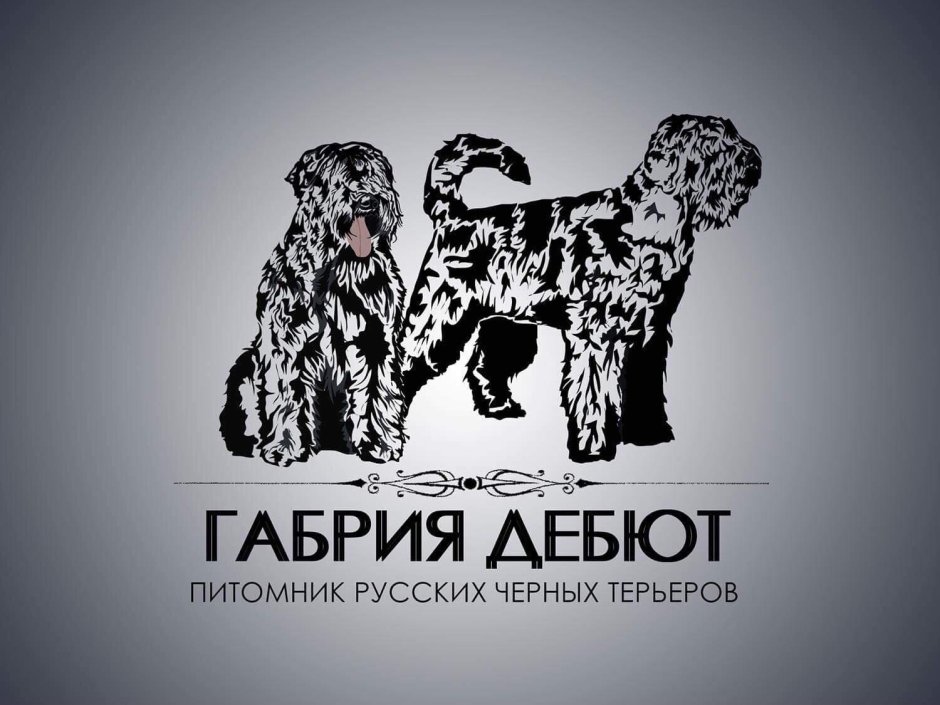 Маргарита Карева лошадь