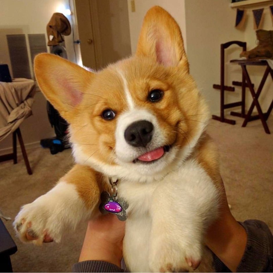 Кроегаерт Жорж (Georges Croegaert, 1848–1923)