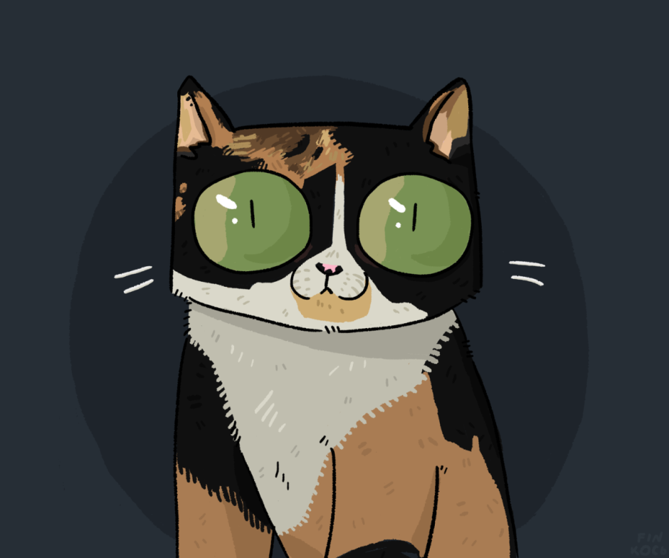 Котик куки