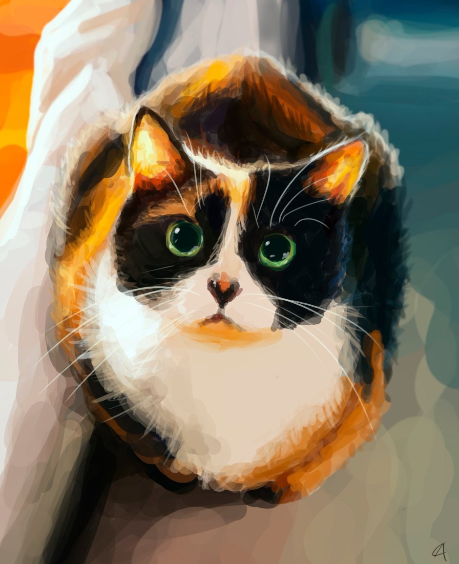 Кот сливки шоу