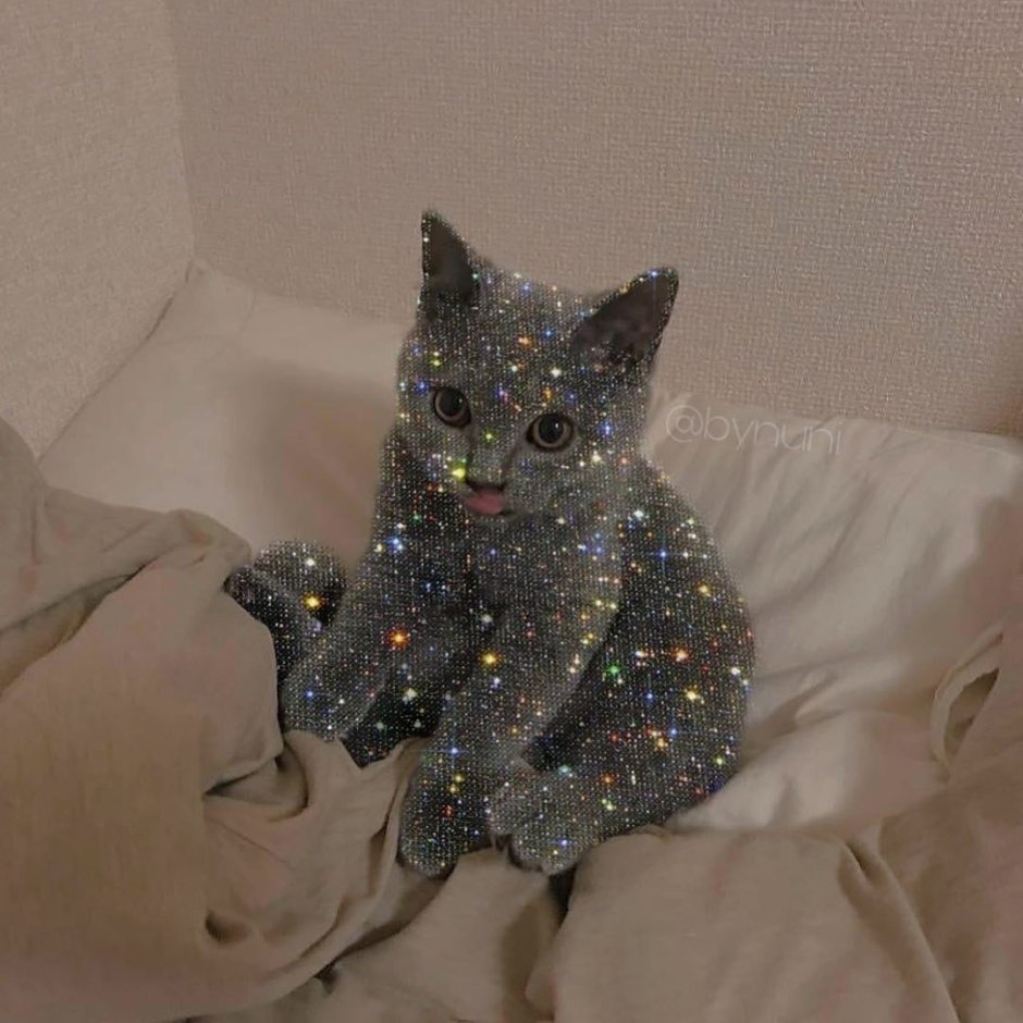 Котик с блёстками