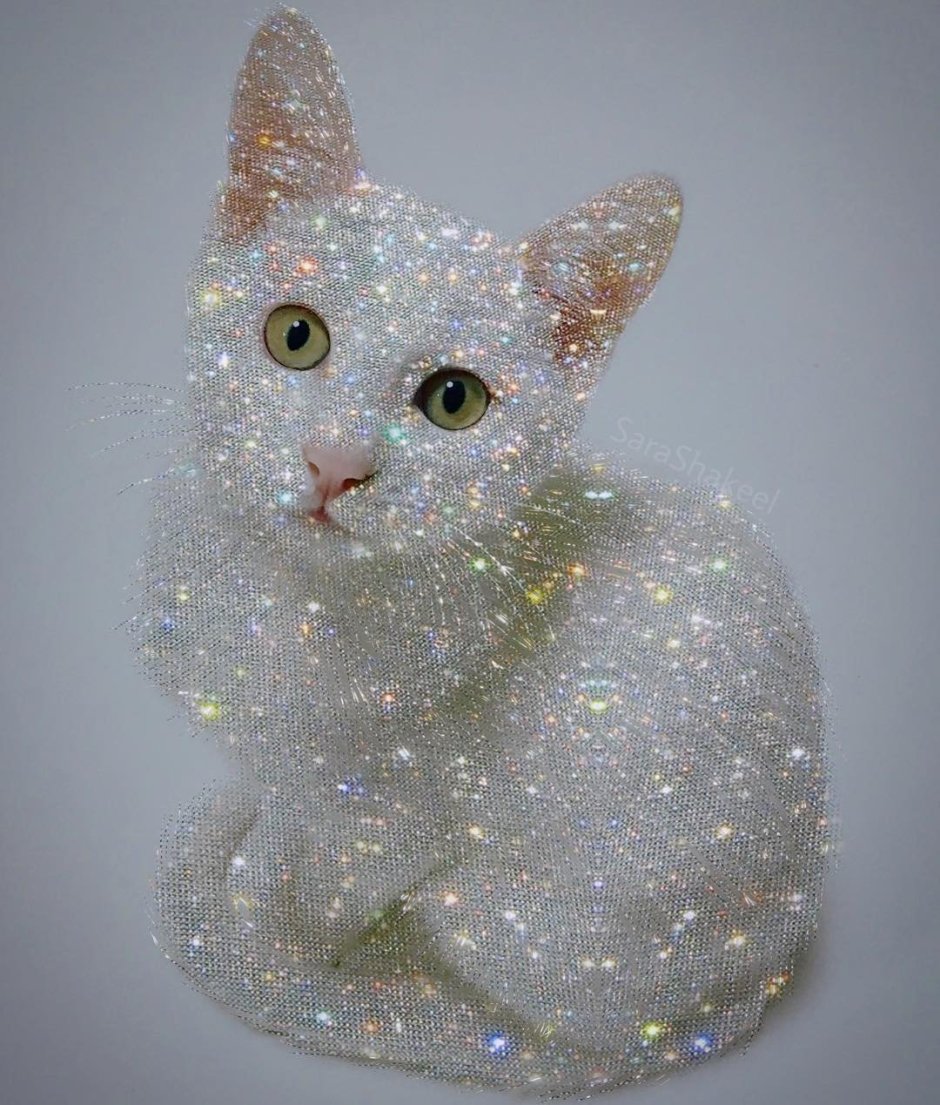 Блестящая кошка