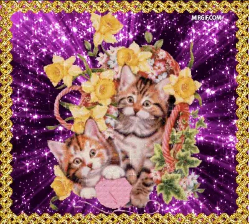 Космические котята