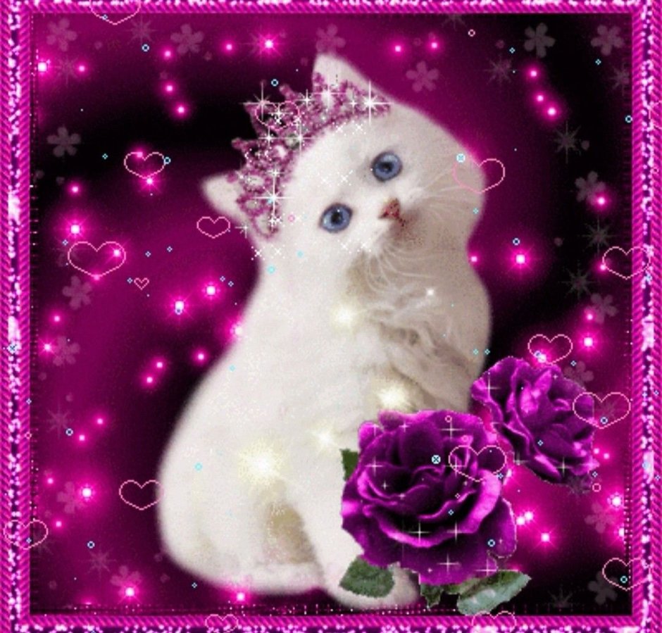 Котик с блестками
