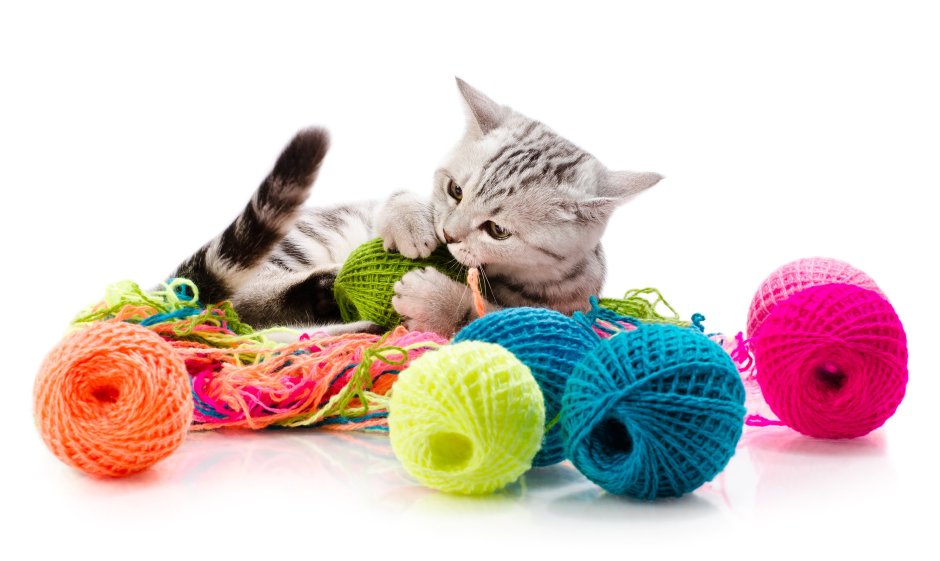 Кот с нитками на белом фоне