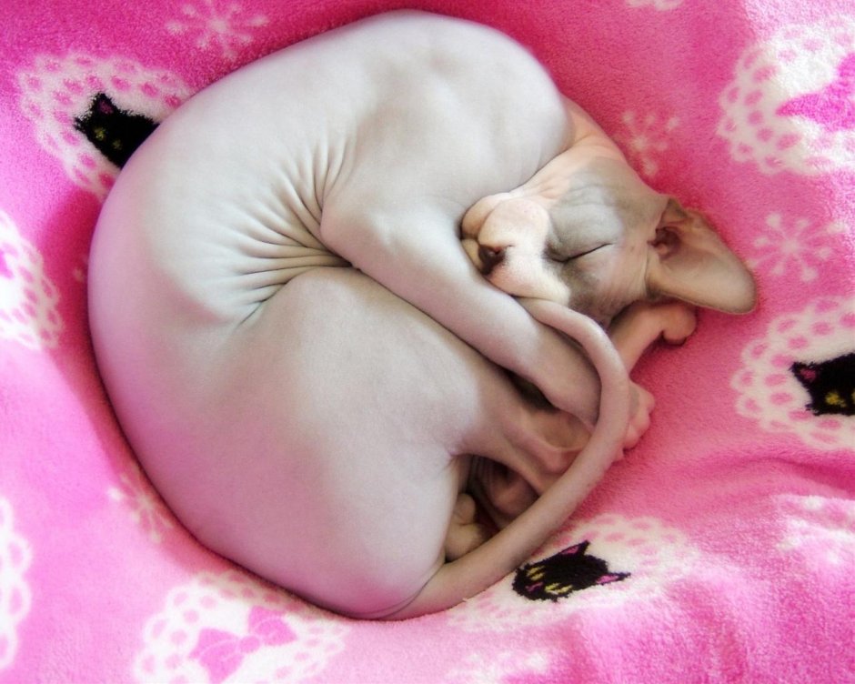 Запутался в нитках