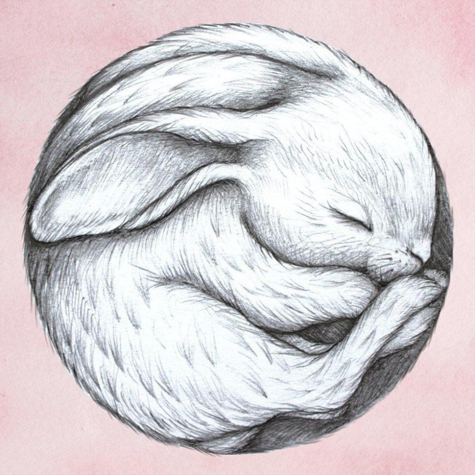 Perfect Petzzz котёнок