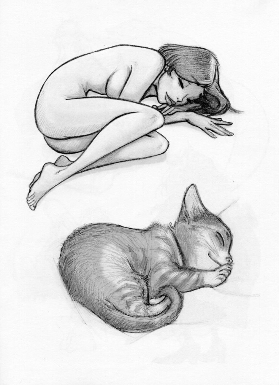 Рыжий кот спит