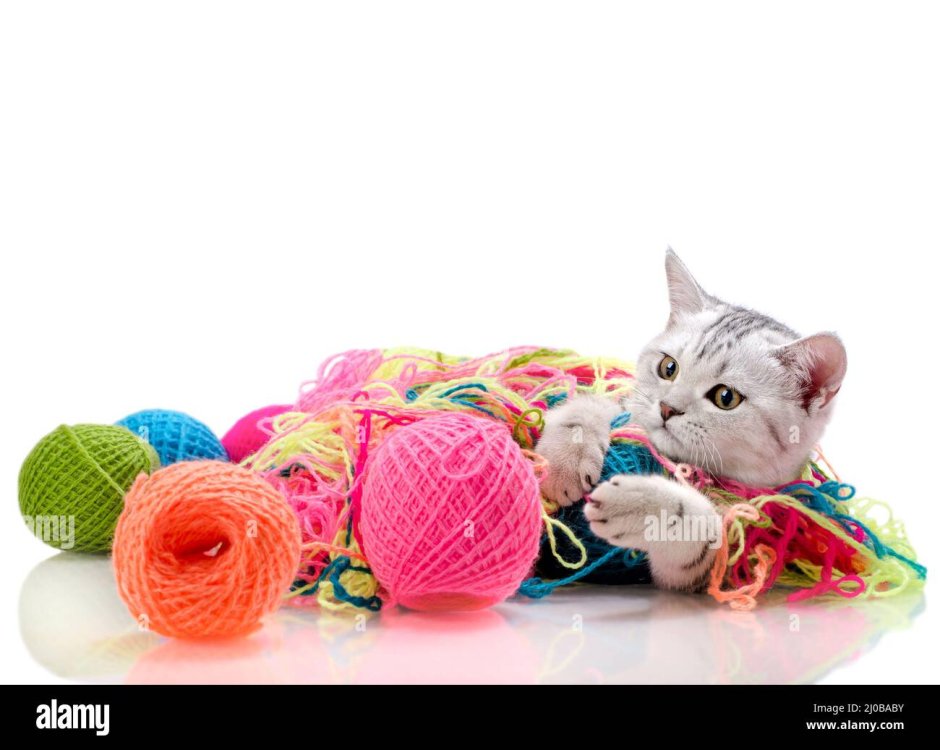 Котик с нитками