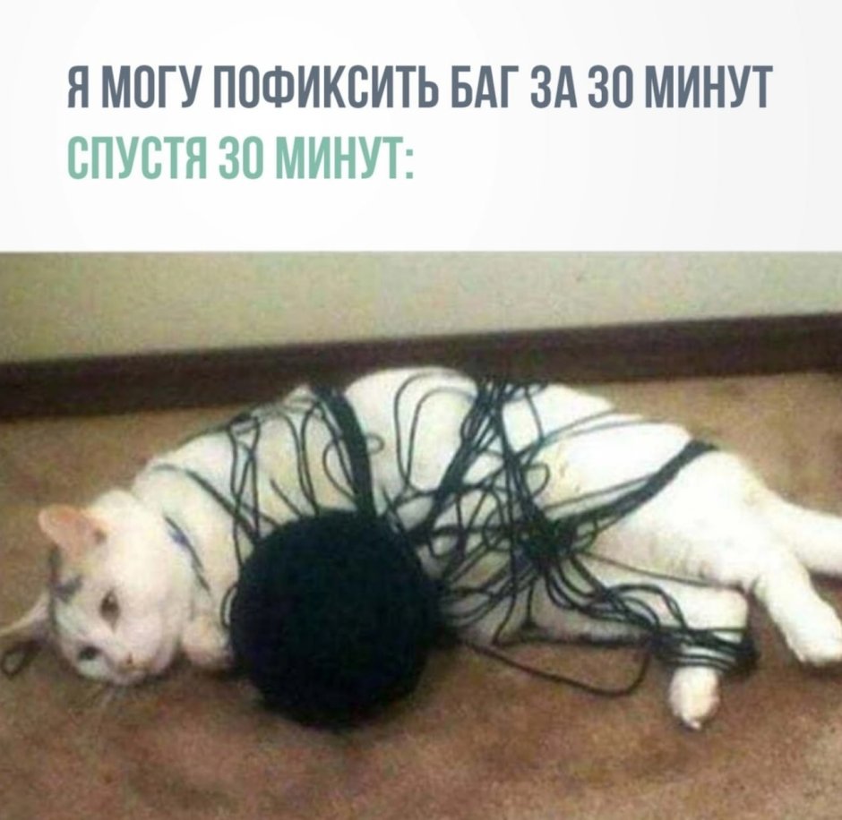 Спящие котики