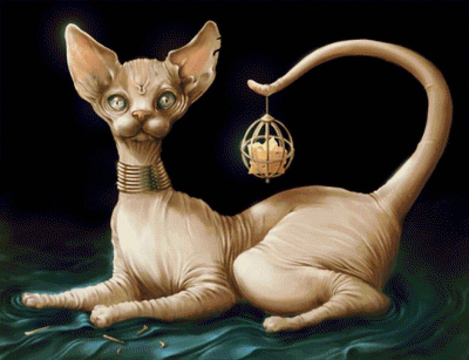 Сфинкс кошка ушастая
