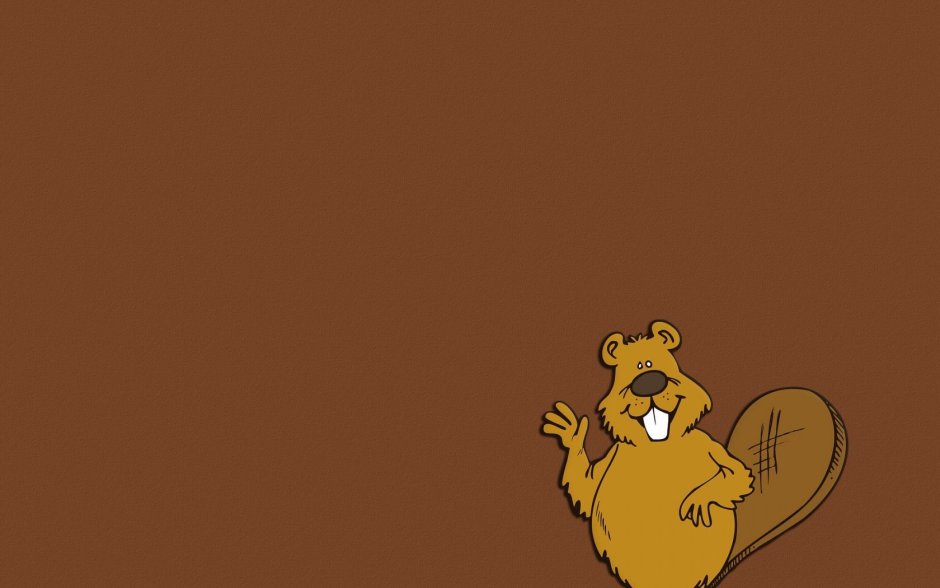 Обои на рабочий стол прикольные