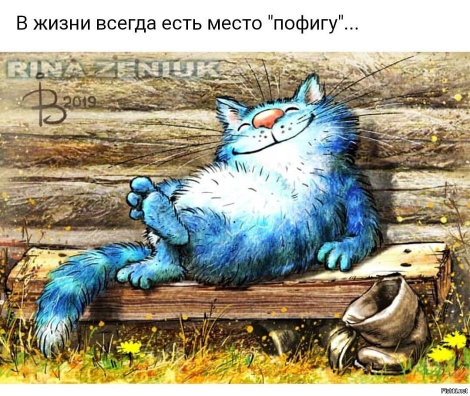 Коты Ирины Зенюк лето
