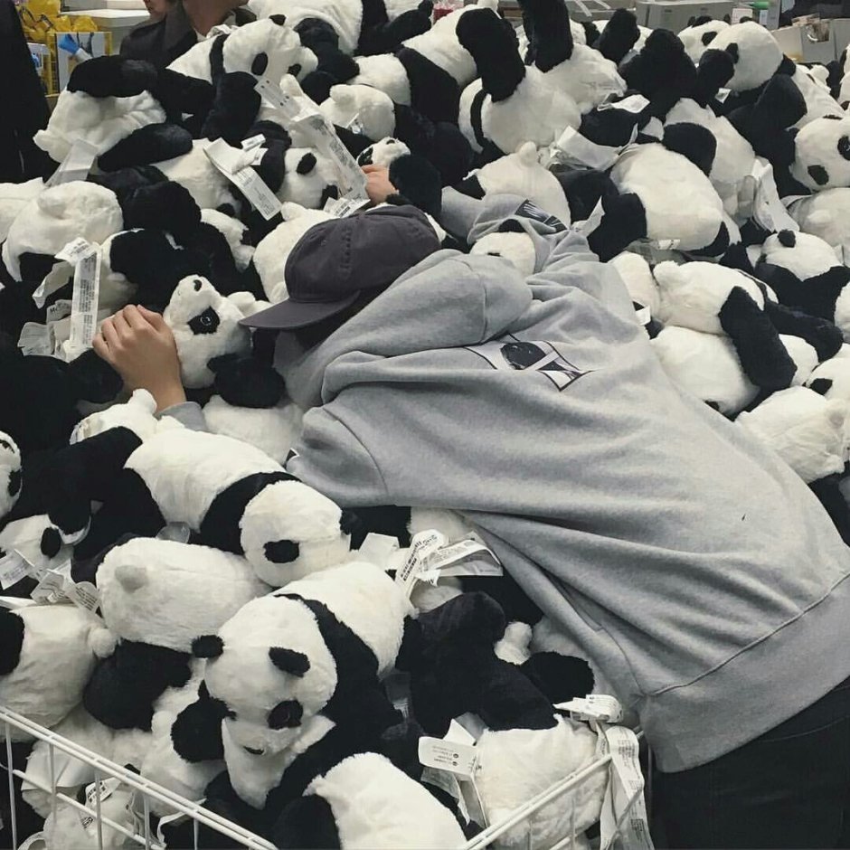 Панда кореец