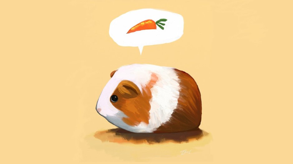 Морская Свинка и кошка