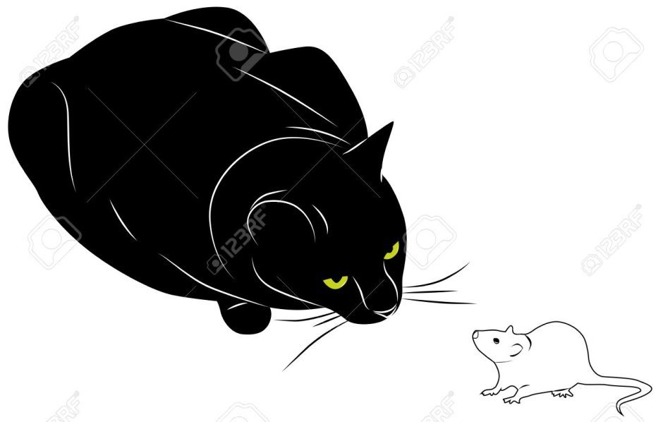 Кот и мыши