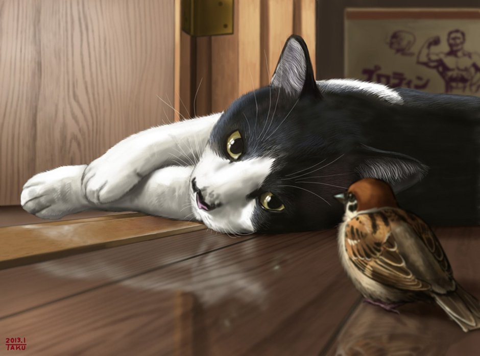 Кот и птичка