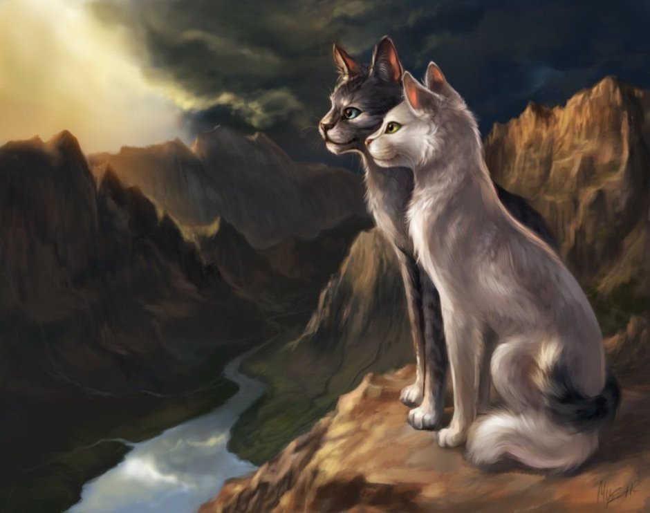 Коты Воители половина Луны