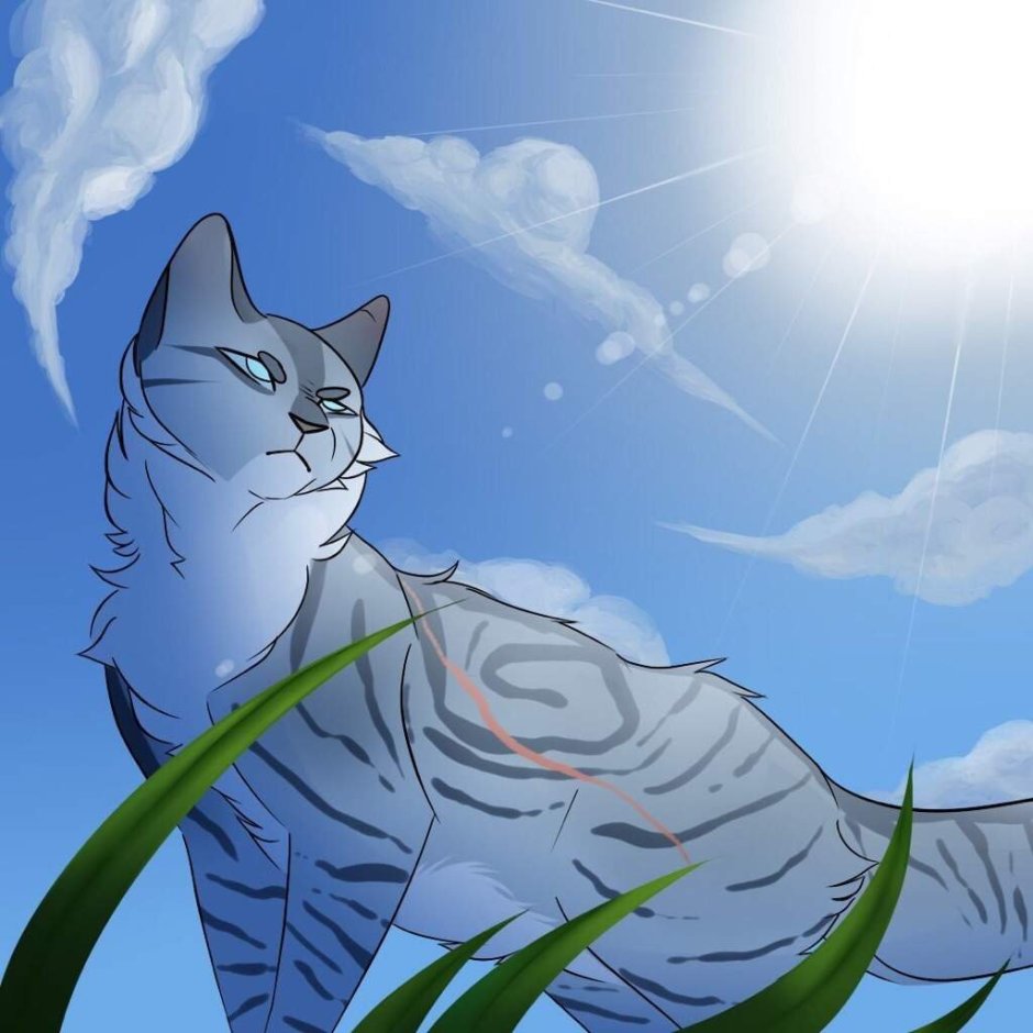 Jayfeather коты Воители Art