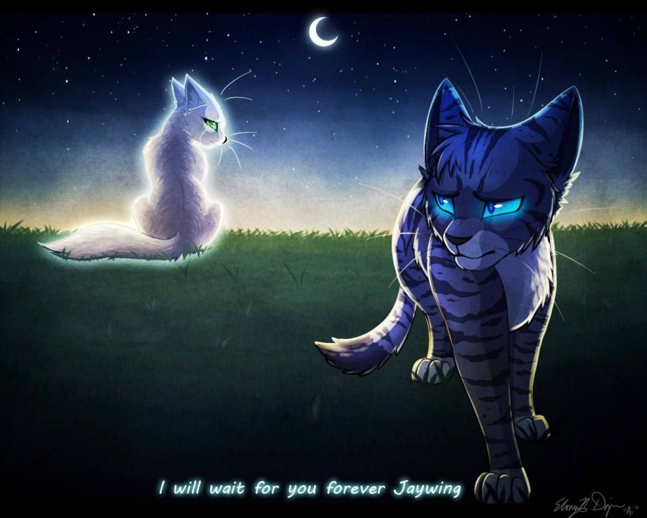 Коты Воители половинка Луны