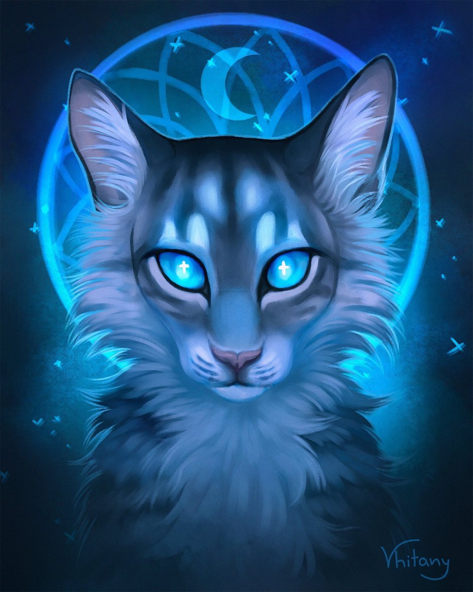 Jayfeather коты Воители