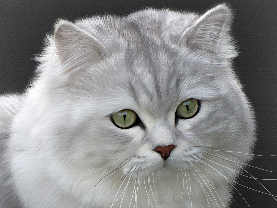 Светлая кошка
