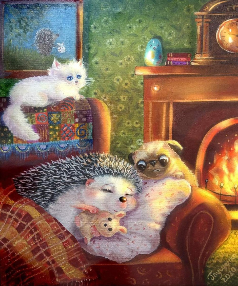 Кот и еж любовь