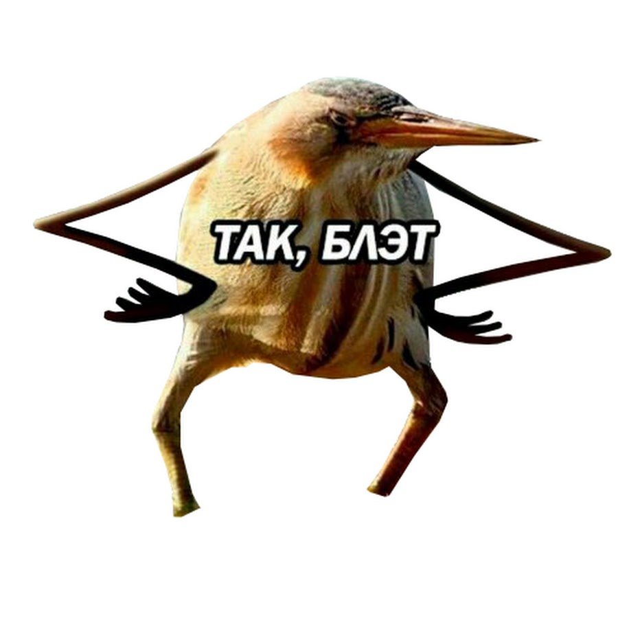 Перелетные и неперелетные птицы список