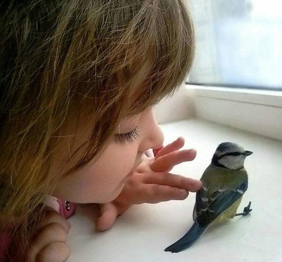 Жар птица турагентство логотип