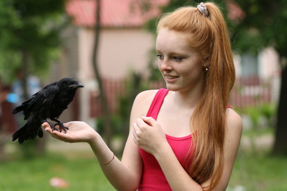 Брянск птицы певчие