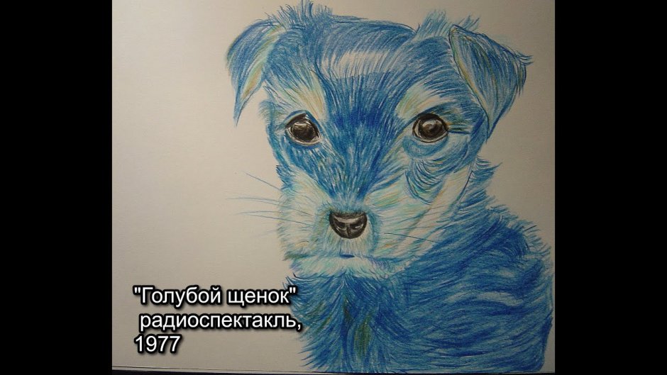 Голубой щенок