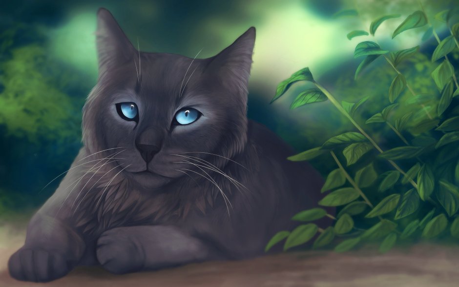 Серые коты Воители