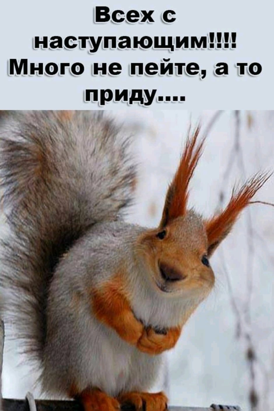Белок что есть