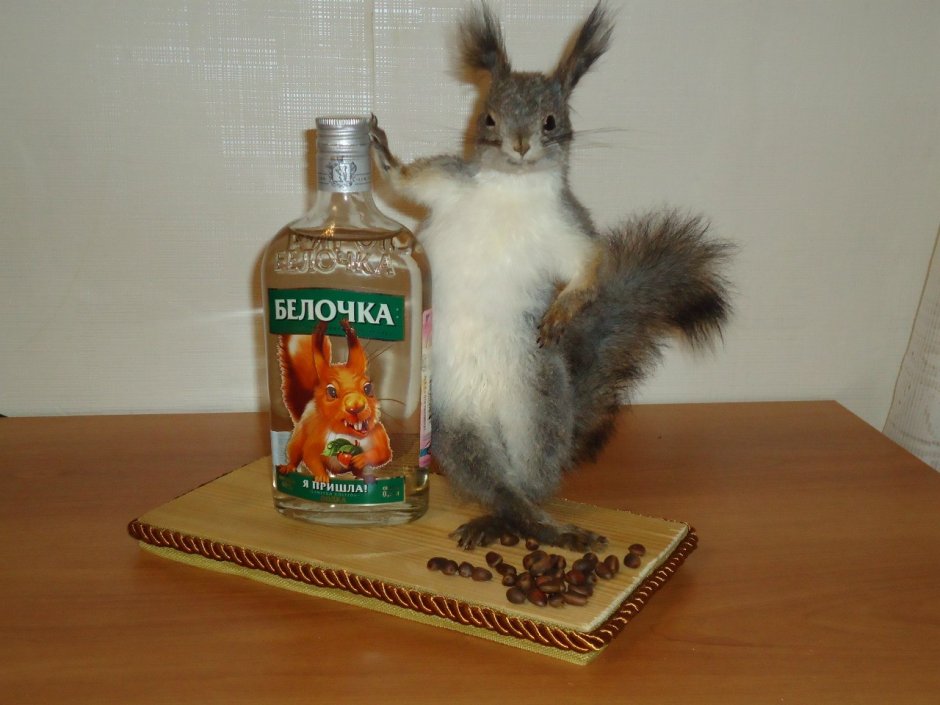 Белочка устала