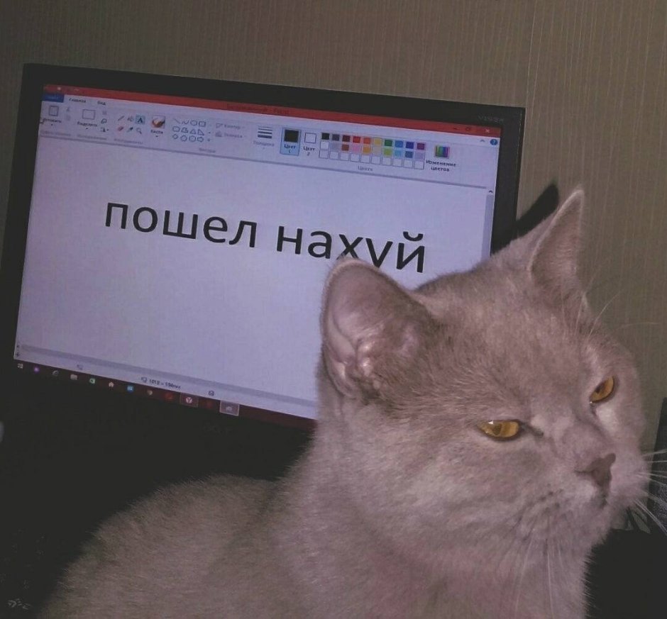 Шутки про соловья