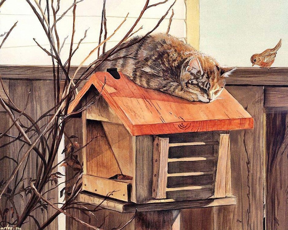 Алмазная вышивка кошки