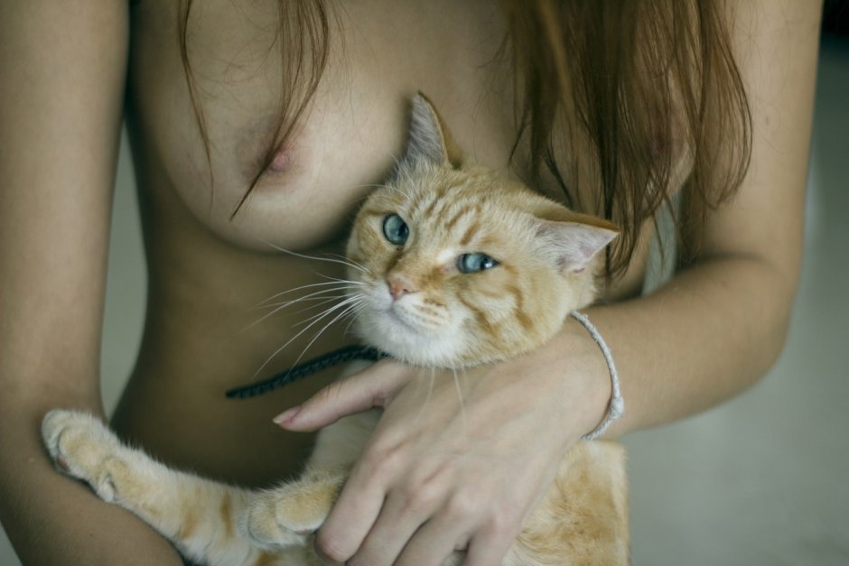 Кот на груди девушки