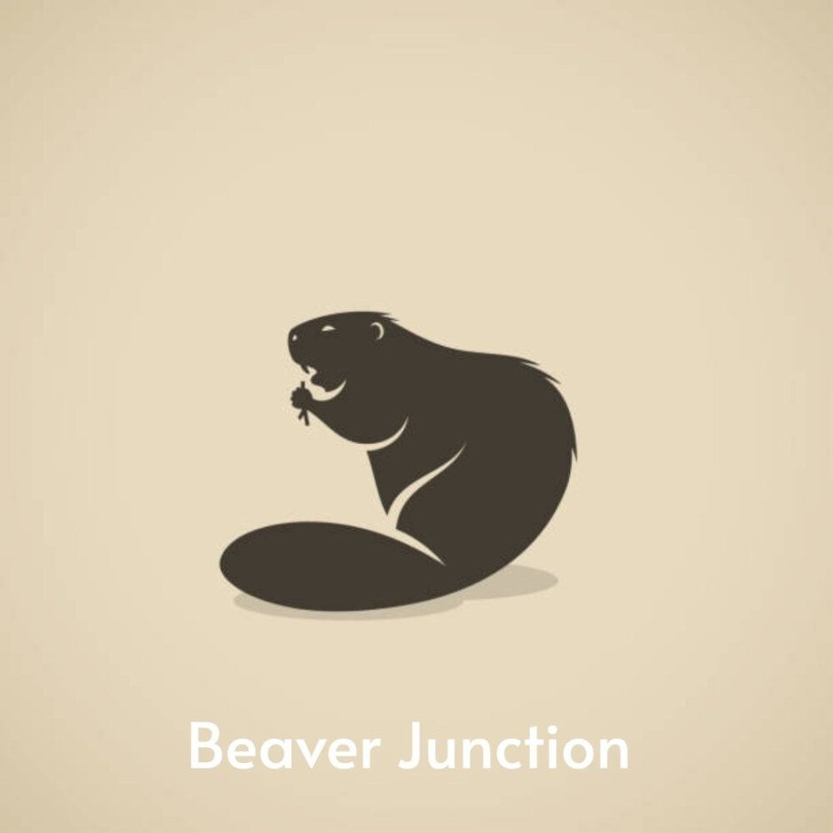 Бобер вектор