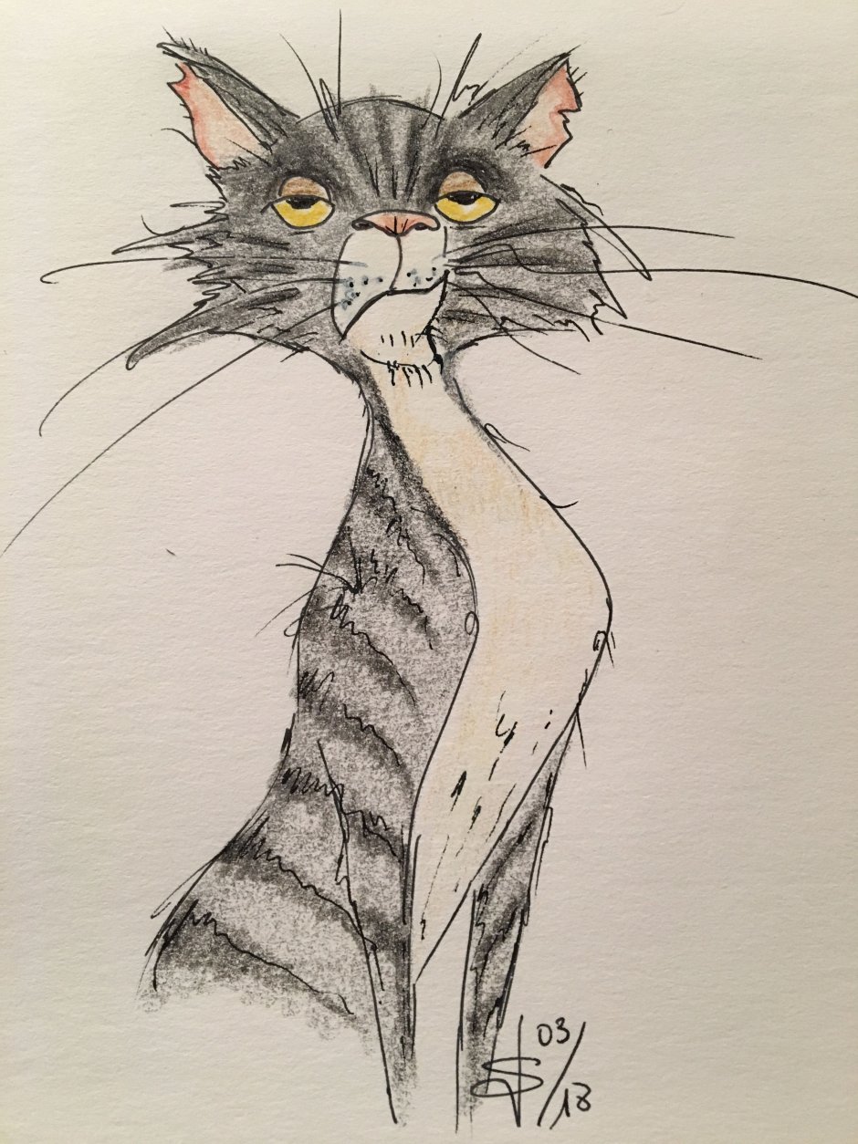 Рисунки котов карандашом