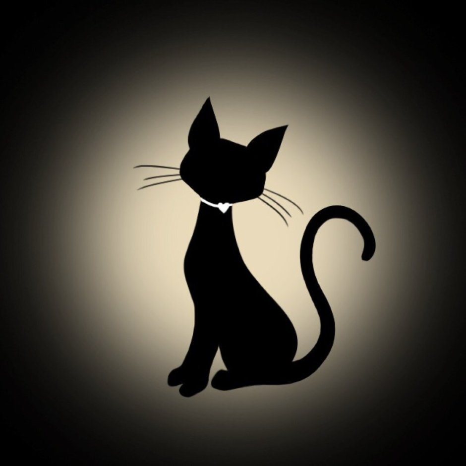Изящная черная кошка