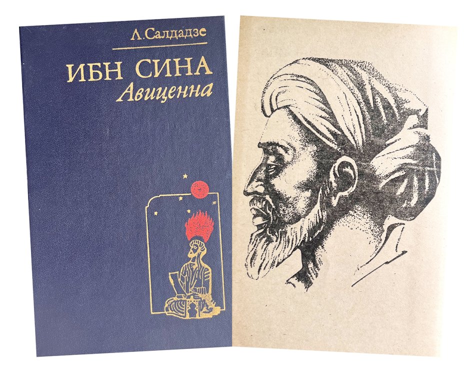 Шиба сиба ину порода собак